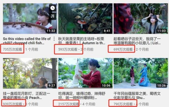 李子柒走红国外，Youtube粉丝752万，一年分红4452万元