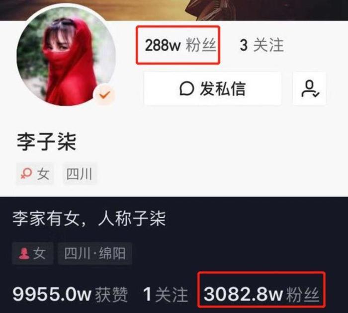 李子柒走红国外，Youtube粉丝752万，一年分红4452万元