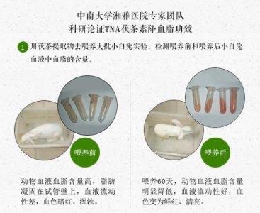 ​糖尿病有救啦，茯茶素可调治好糖尿病，你还不知道吗？