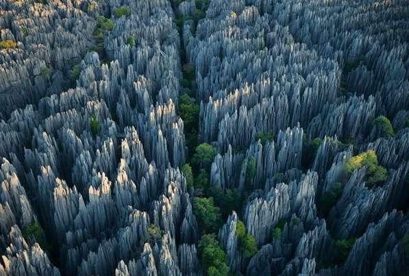 马达加斯加岛：世界第四大的岛屿