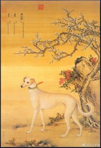 ​细犬，或称中国细犬，是一种产于中国的速度型猎犬