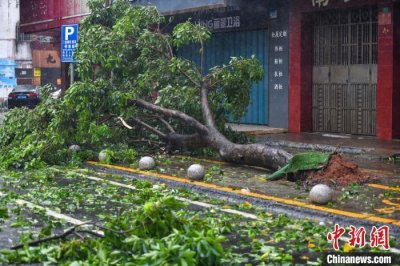 ​超强台风“摩羯”袭击海南：楼房明显晃动 小车被风掀翻