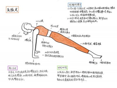 ​哈他瑜伽体式详解，简笔手绘24-反板式