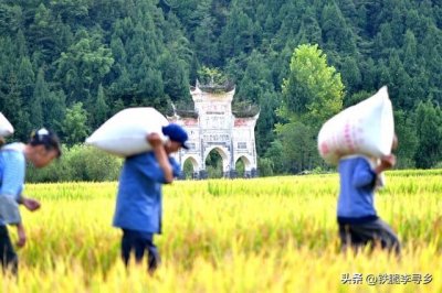 ​你知道吗？农民的定义，正在偷偷改变