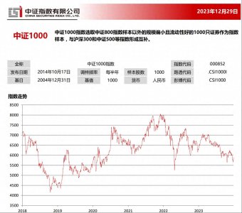 ​指数基金小知识详解中证1000指数