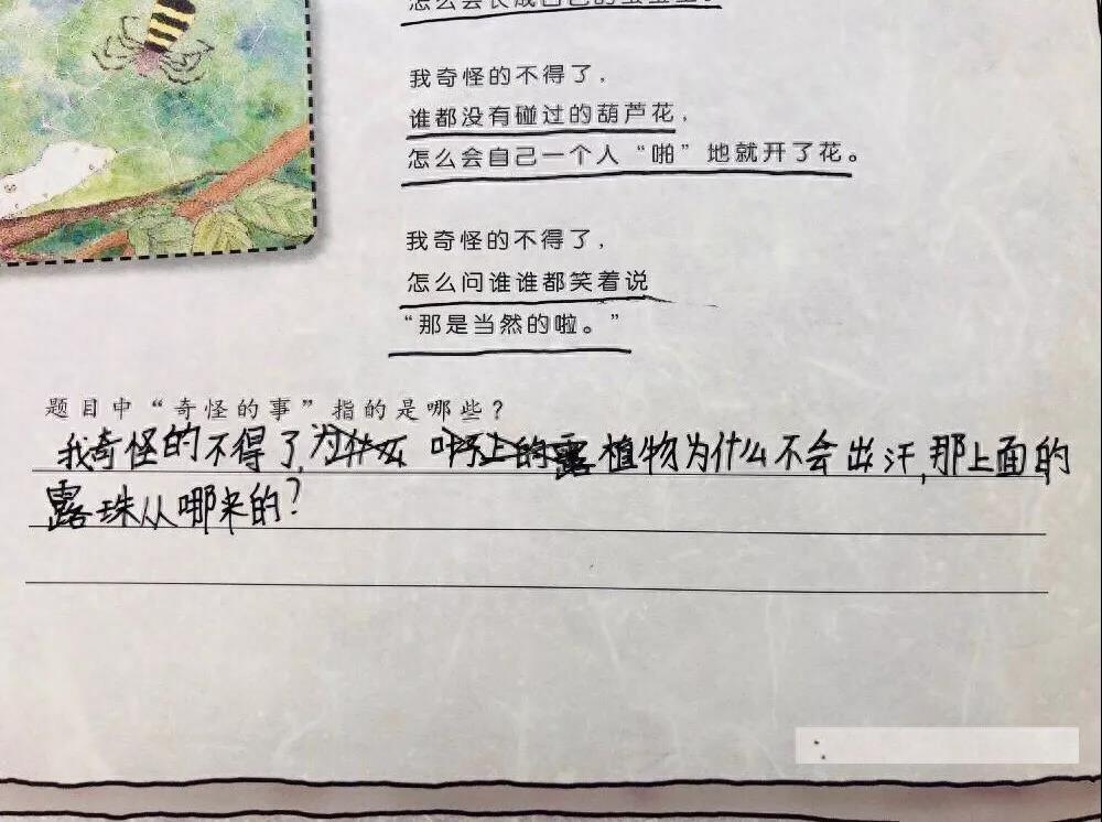 小学生神句：我奇怪得不得了！吃下香香的食物，却放出臭臭的屁？