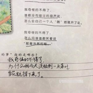 ​小学生神句：我奇怪得不得了！吃下香香的食物，却放出臭臭的屁？