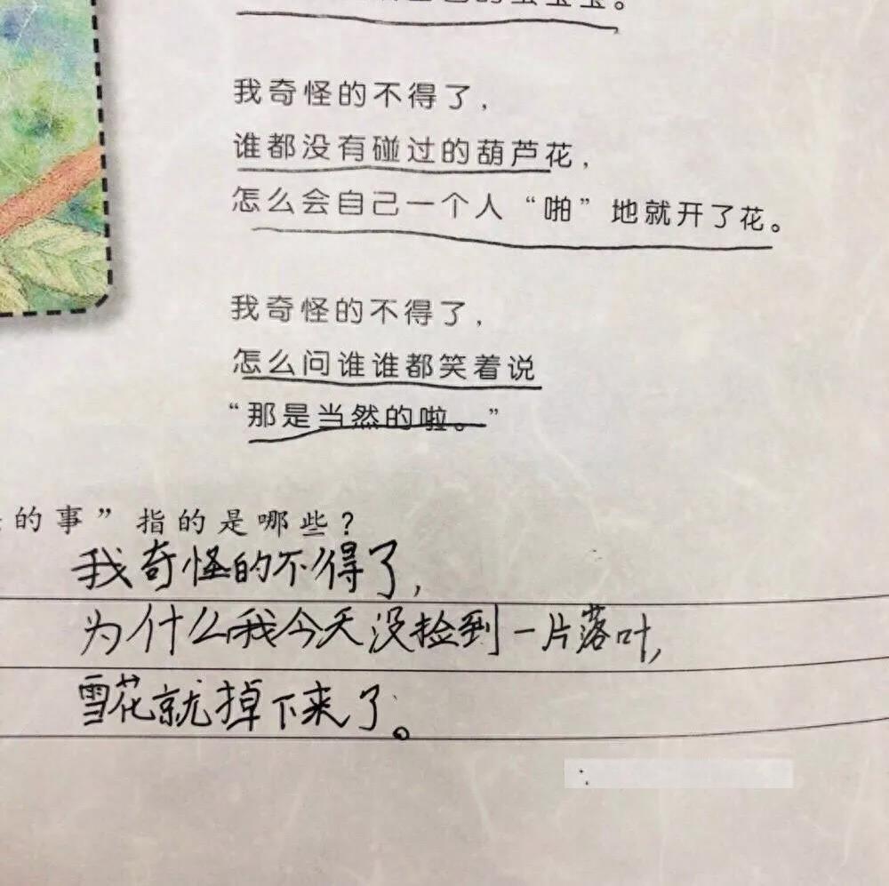 小学生神句：我奇怪得不得了！吃下香香的食物，却放出臭臭的屁？